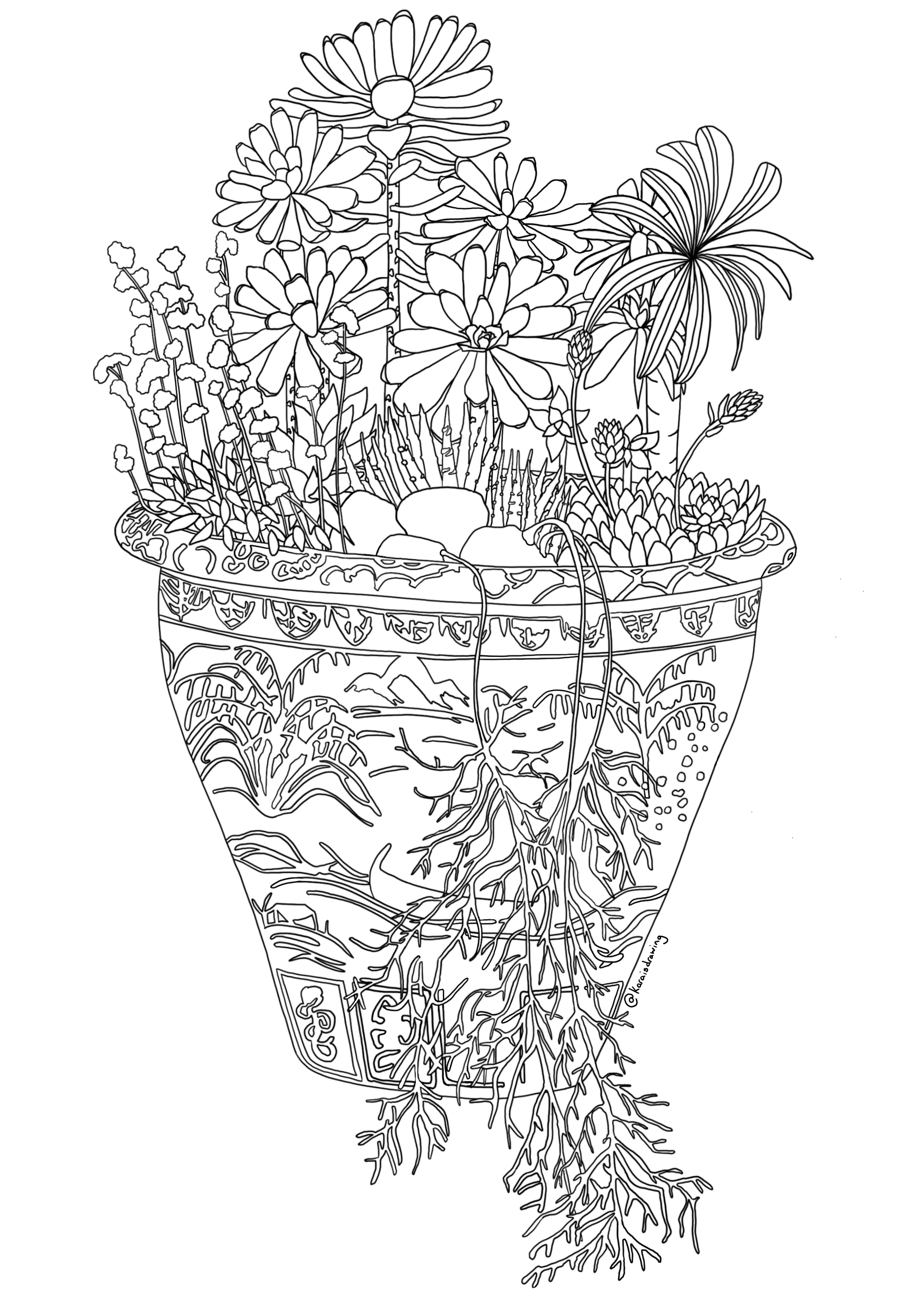 KaraCampbell_Succulent